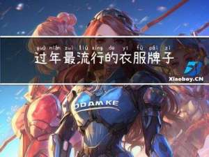 过年最流行的衣服牌子图片