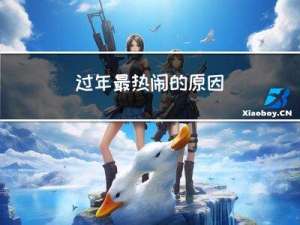 过年最热闹的原因
