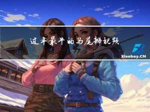 过年最牛的马尾辫视频