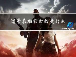 过年最难割舍的是什么意思