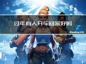 过年有人开车回家好吗吗