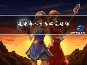 过年有人开车回家好吗视频