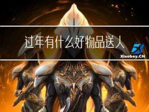 过年有什么好物品送人