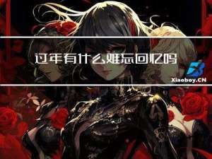 过年有什么难忘回忆吗