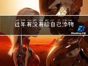 过年有没有给自己添物件