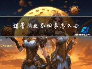过年朋友不回家怎么办