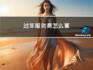 过年服务费怎么算
