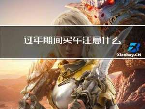 过年期间买车注意什么问题