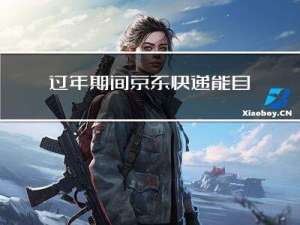 过年期间京东快递能自提吗
