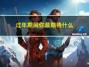 过年期间你最期待什么