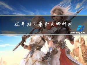 过年期间基金买哪种好