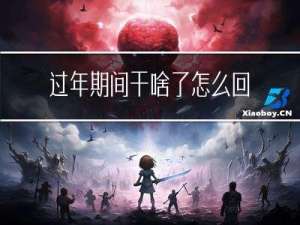 过年期间干啥了怎么回答