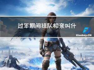 过年期间排队相亲叫什么