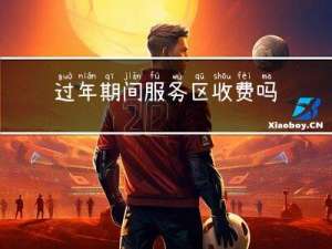 过年期间服务区收费吗