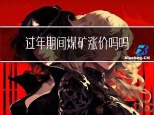 过年期间煤矿涨价吗吗