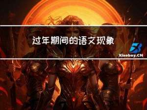 过年期间的语文现象