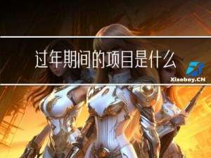 过年期间的项目是什么