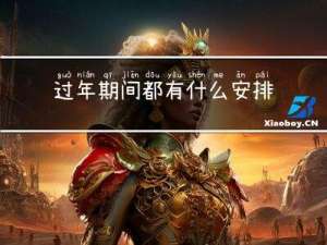 过年期间都有什么安排活动