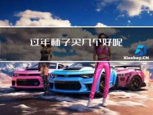 过年柿子买几个好呢