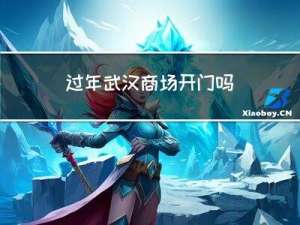 过年武汉商场开门吗