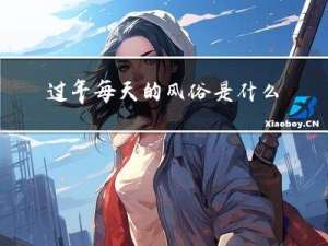 过年每天的风俗是什么作文