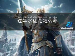 过年水仙花怎么养