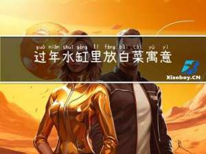过年水缸里放白菜寓意什么