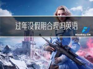 过年没假期合理吗英语