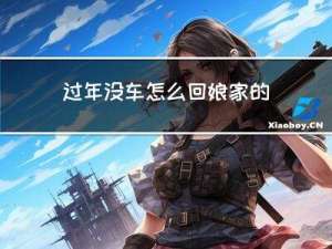 过年没车怎么回娘家的说说