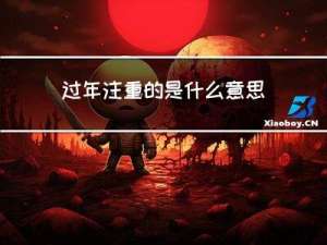 过年注重的是什么意思