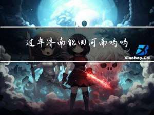 过年济南能回河南吗吗