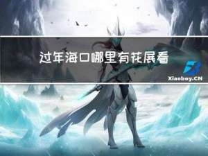 过年海口哪里有花展看