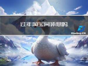 过年淘宝网休息吗