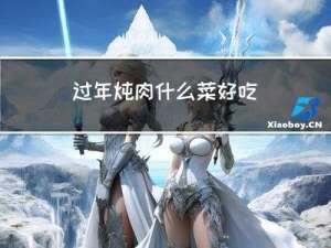过年炖肉什么菜好吃