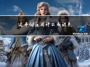 过年烟花用什么成语来形容