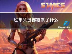 过年父母都寄来了什么