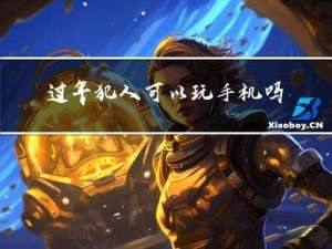 过年犯人可以玩手机吗视频