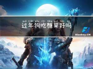 过年狗吃糖果好吗
