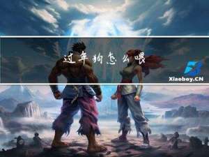 过年狗怎么喂