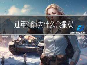 过年狗狗为什么会撒欢呢