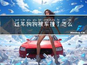 过年狗狗被车撞了怎么办