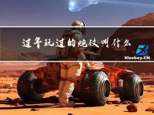 过年玩过的炮仗叫什么名