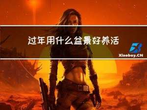 过年用什么盆景好养活