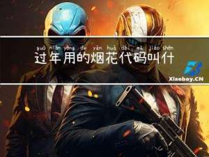 过年用的烟花代码叫什么