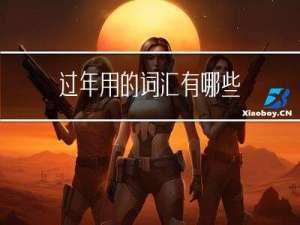 过年用的词汇有哪些