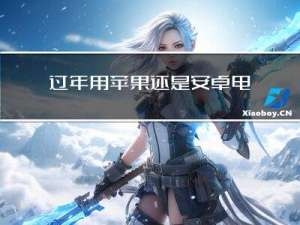 过年用苹果还是安卓电脑