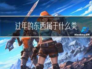 过年的东西属于什么类目