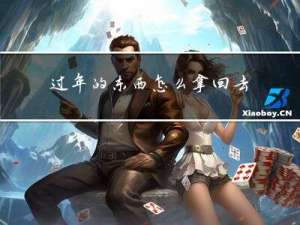 过年的东西怎么拿回去