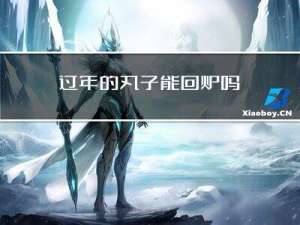 过年的丸子能回炉吗