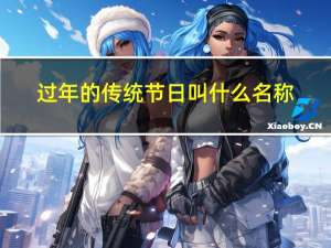 过年的传统节日叫什么名称